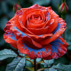 Роза Сикрет Гарден купить по цене от 619р. в интернет-магазине «Посадика» с доставкой почтой в в Сусумане и по всей России – [изображение №1].